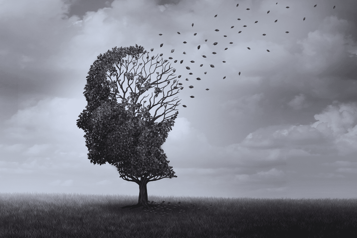 image of a tree in the shape of a face whose leaves are blowing away to symbolize schizophrenia